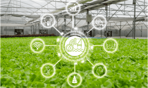 Australia's automated irrigation network: Key solution for solving water shortage crisis