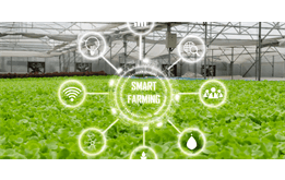 Australia's automated irrigation network