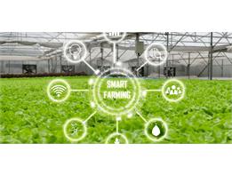 سامانه ی خودکار شبکه ی آبیاری استرالیا