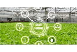 سامانه ی خودکار شبکه ی آبیاری استرالیا